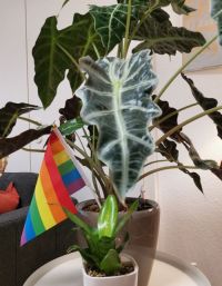 Ein Raum fr alle