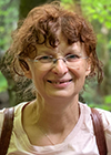 Susanne Hollweger
